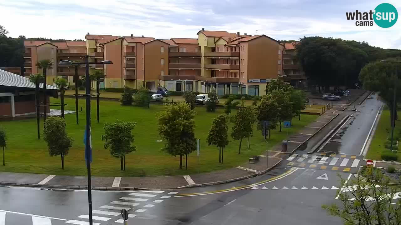 Livecam Rosolina mare