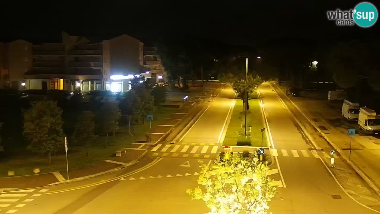Camera en vivo Rosolina mare