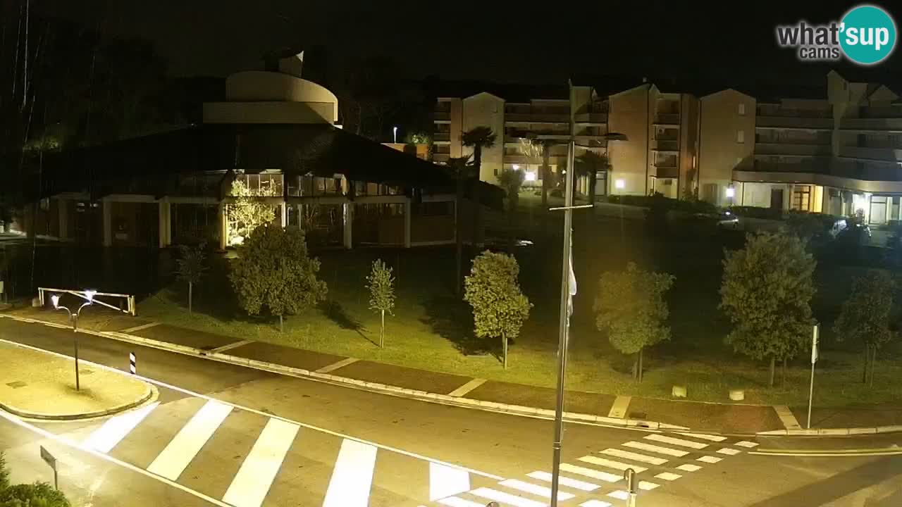 Livecam Rosolina mare