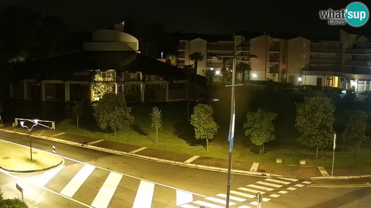 Webcam Rosolina mare Stadtzentrum