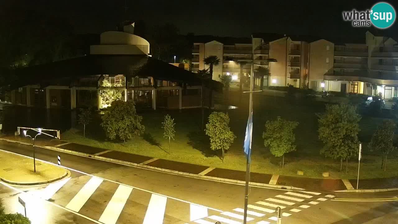 Livecam Rosolina mare