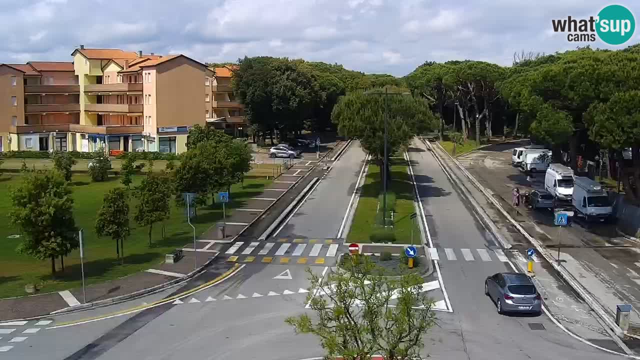 Camera en vivo Rosolina mare