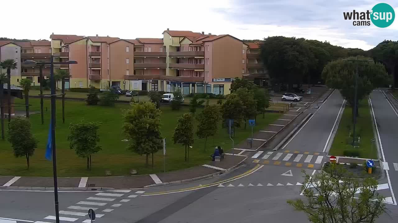 Livecam Rosolina mare