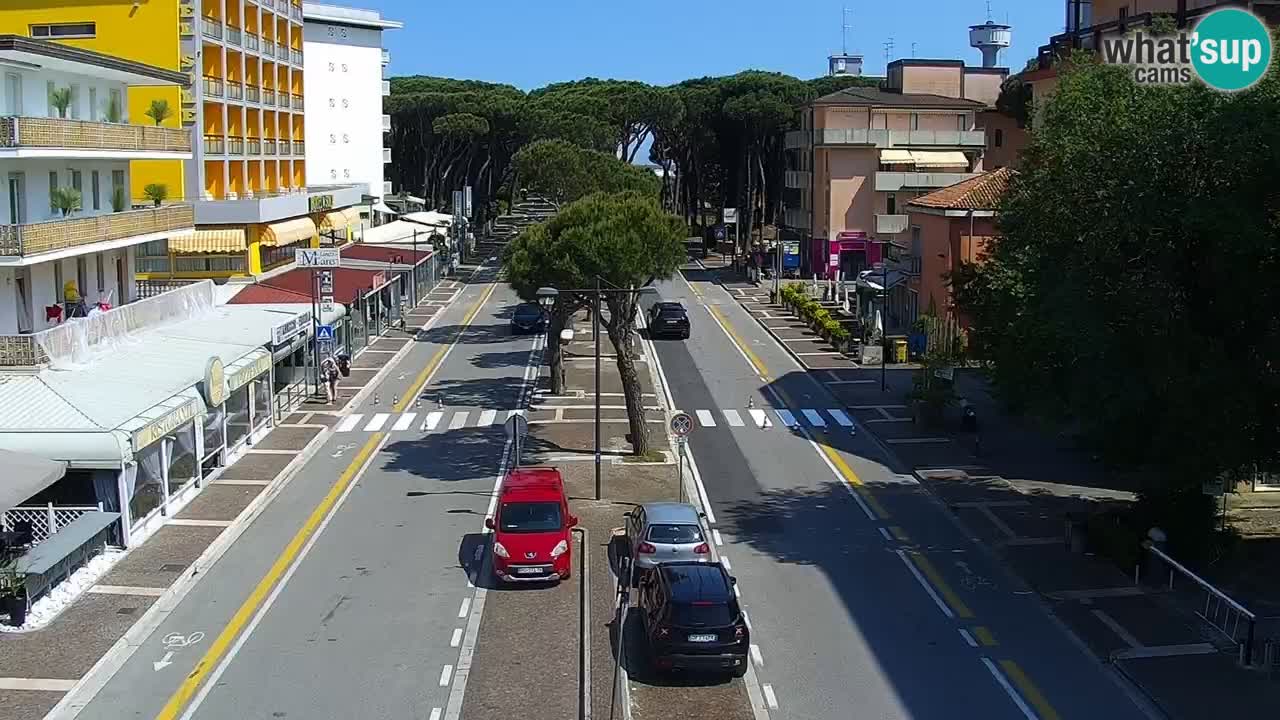 Livecam Rosolina mare