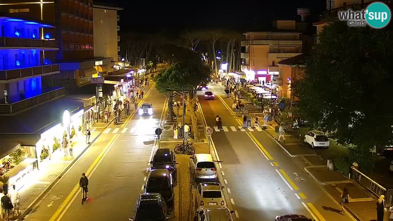 Livecam Rosolina mare