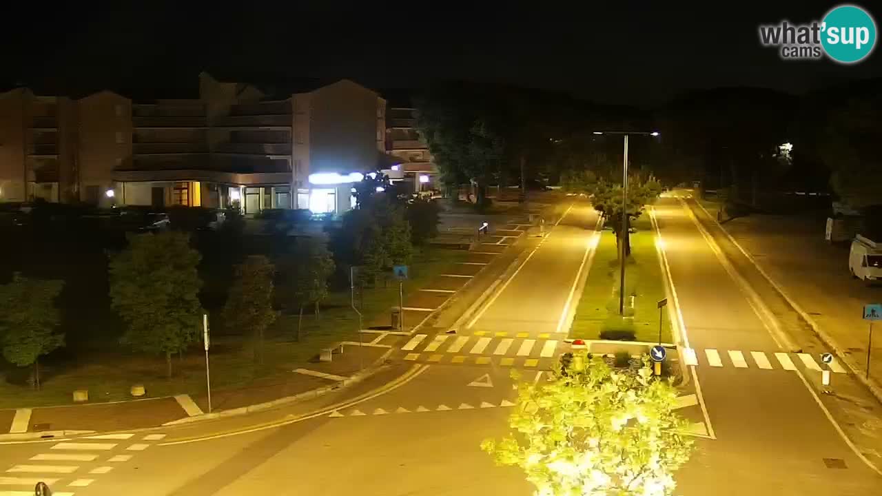 Camera en vivo Rosolina mare