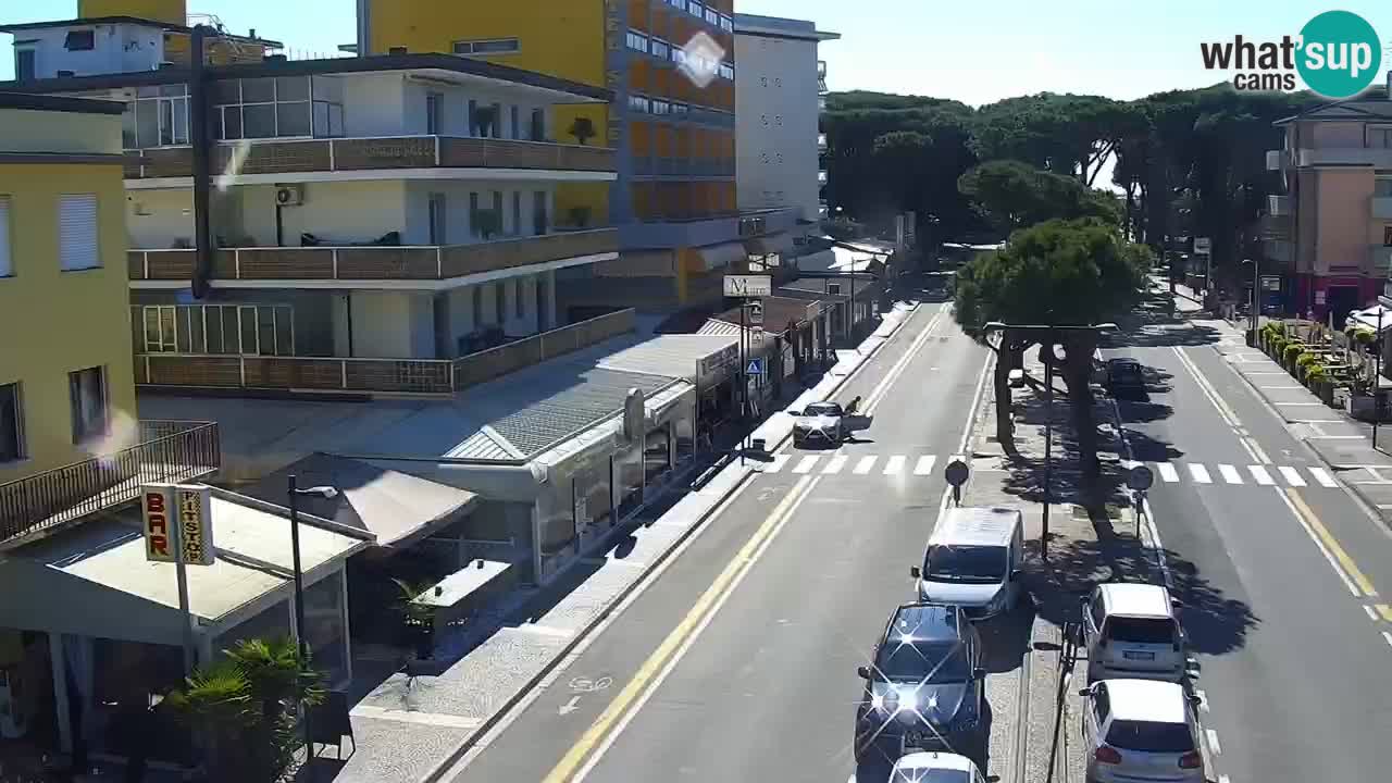 Web kamera Rosolina mare