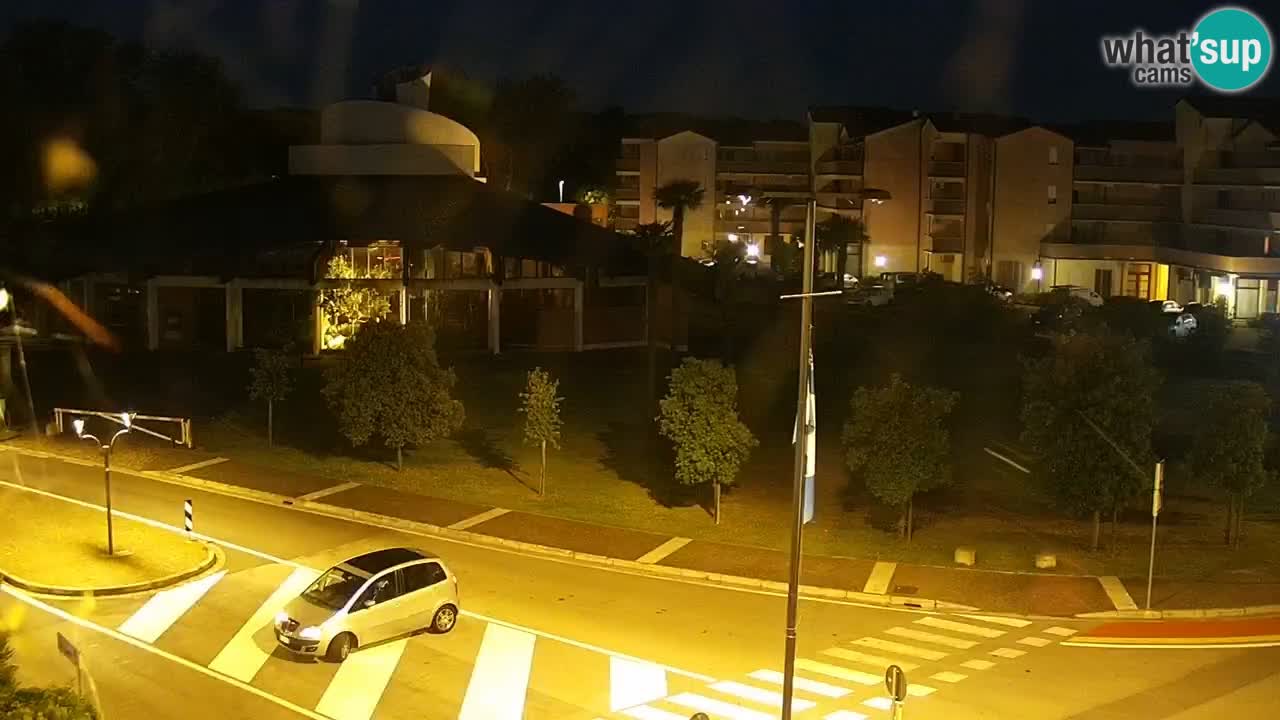 Livecam Rosolina mare