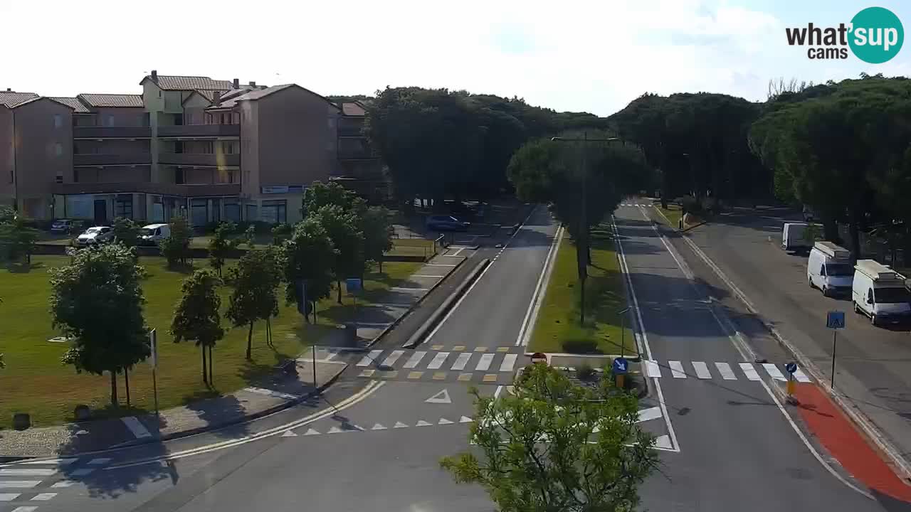Camera en vivo Rosolina mare