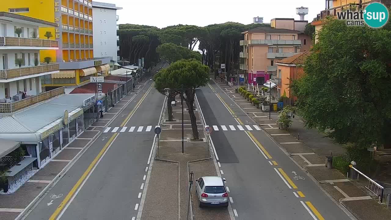 Camera en vivo Rosolina mare