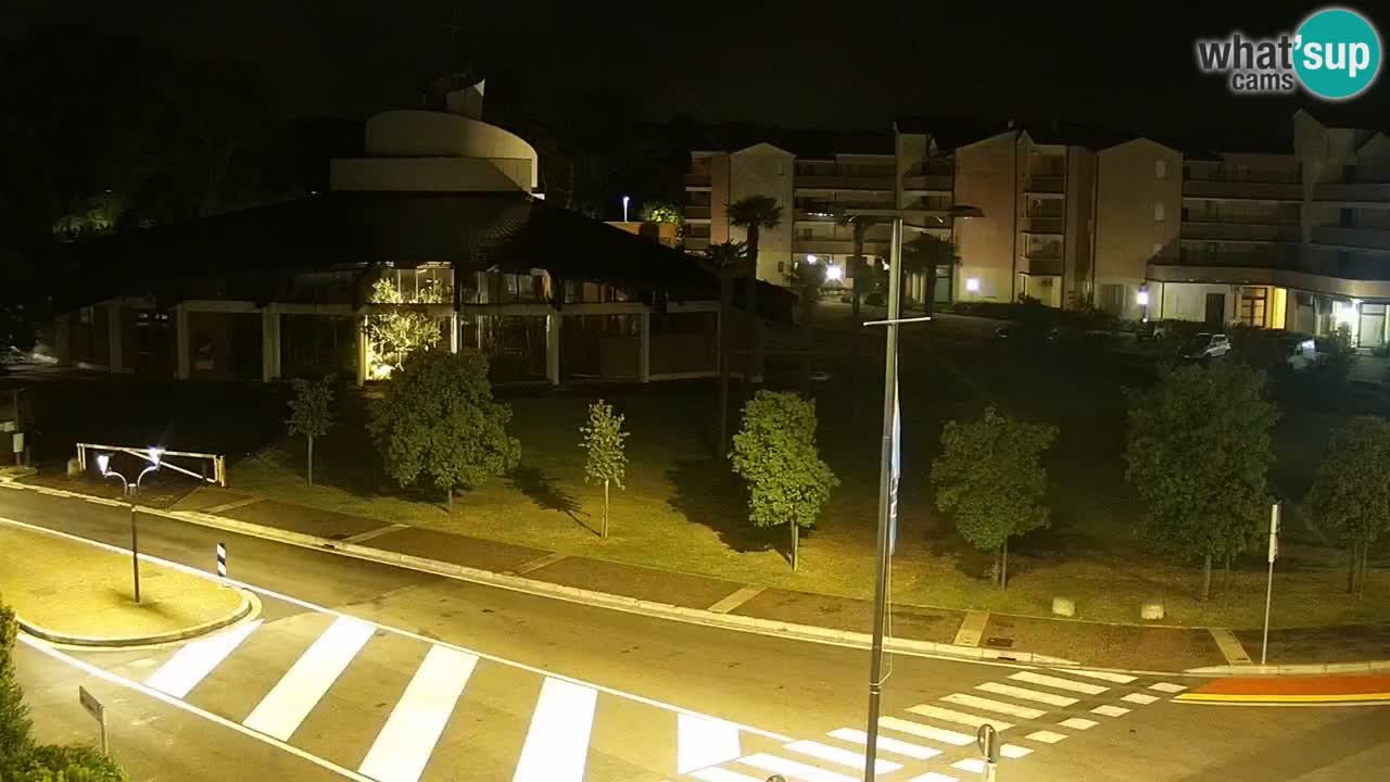 Livecam Rosolina mare