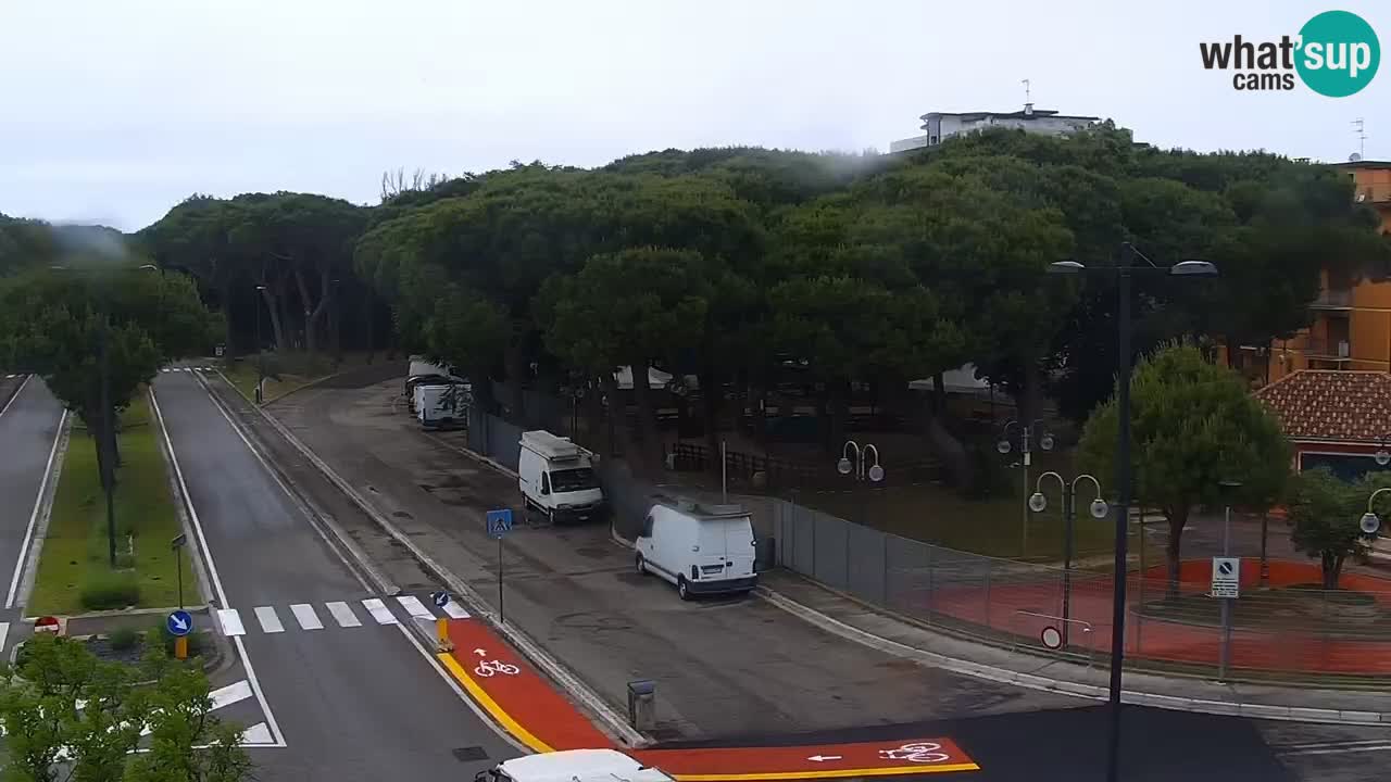 Camera en vivo Rosolina mare