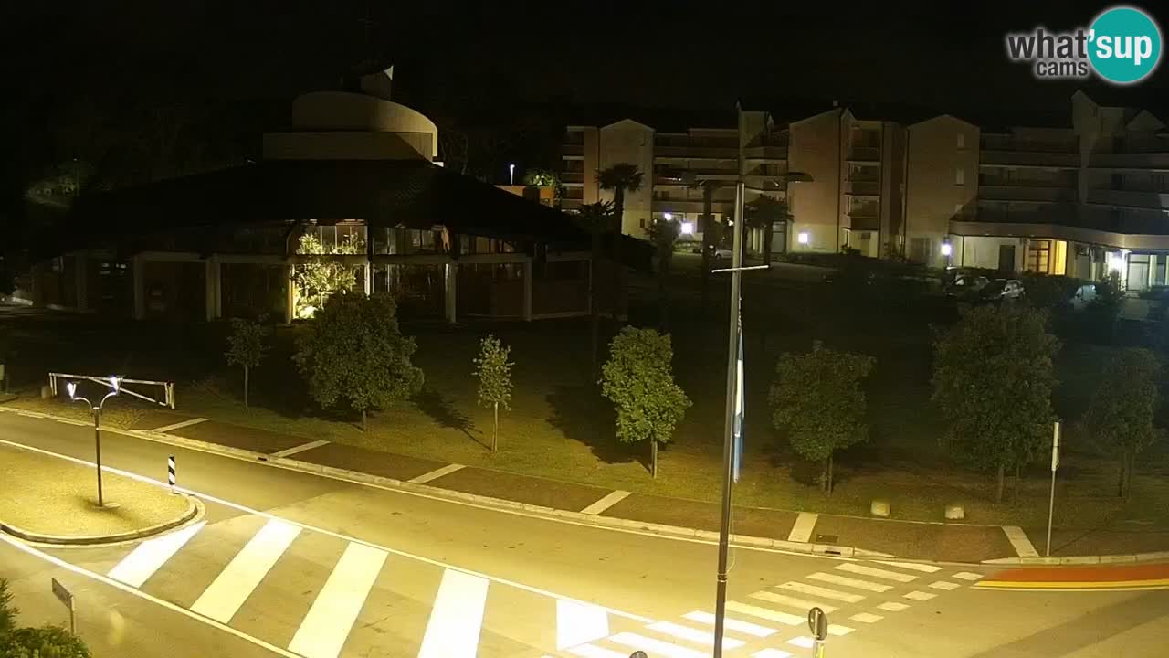 Camera en vivo Rosolina mare