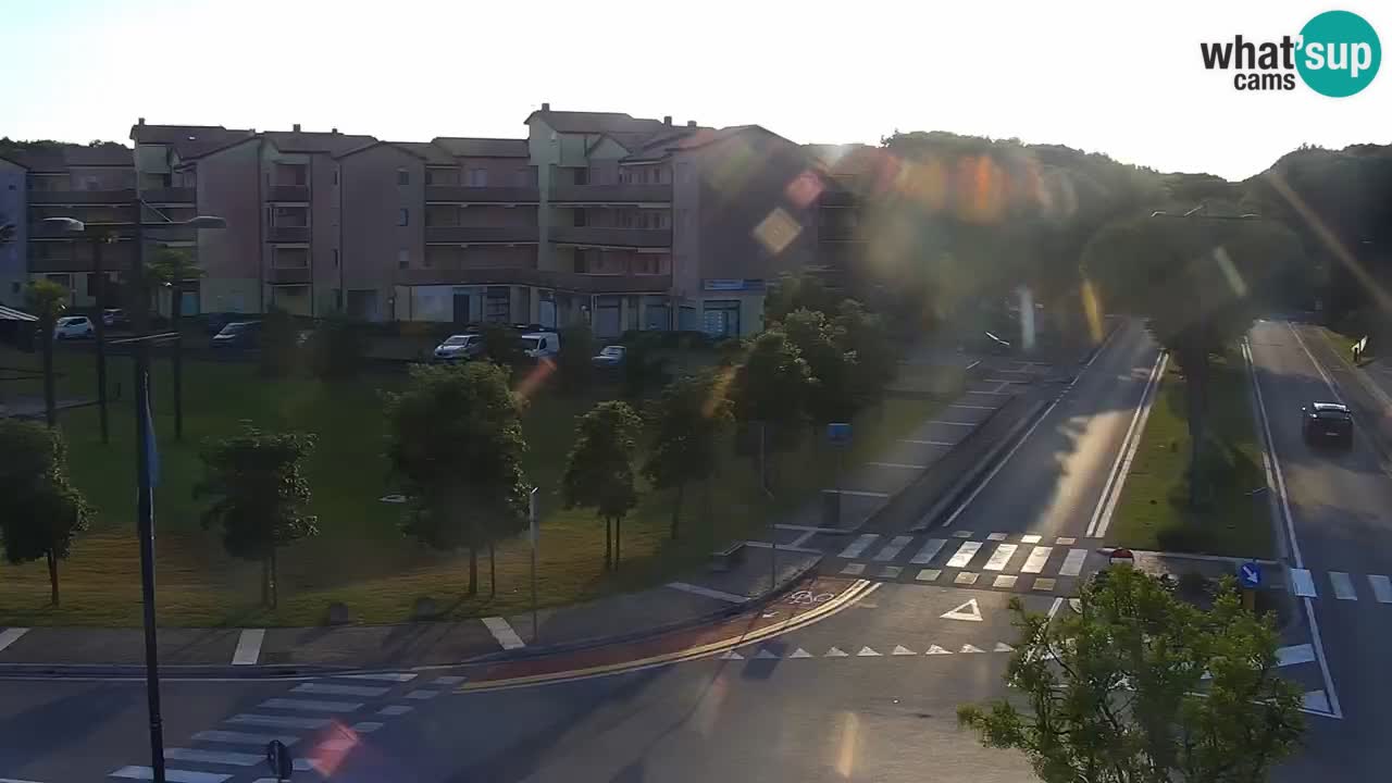 Livecam Rosolina mare