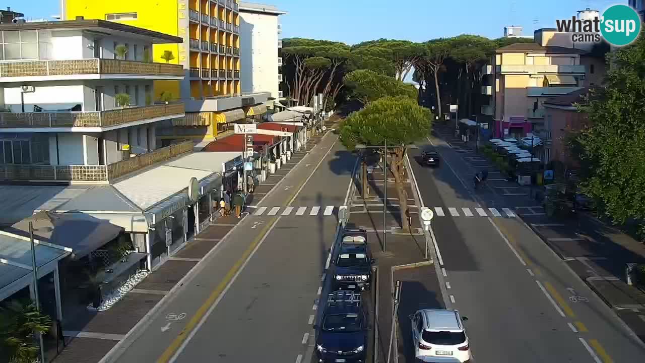 Camera en vivo Rosolina mare