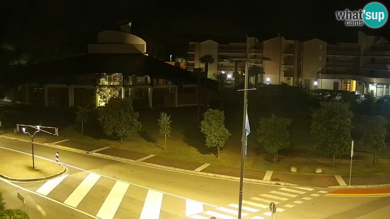 Camera en vivo Rosolina mare