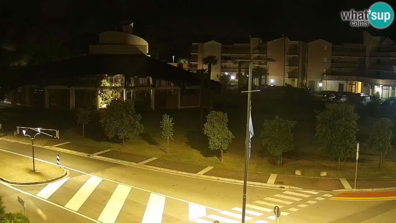 Camera en vivo Rosolina mare