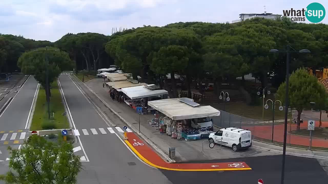 Livecam Rosolina mare