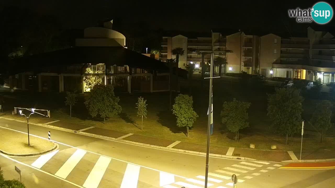 Livecam Rosolina mare