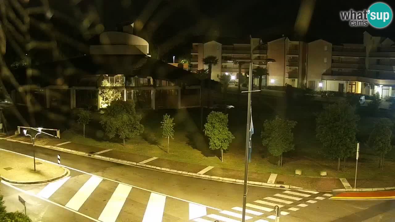 Livecam Rosolina mare