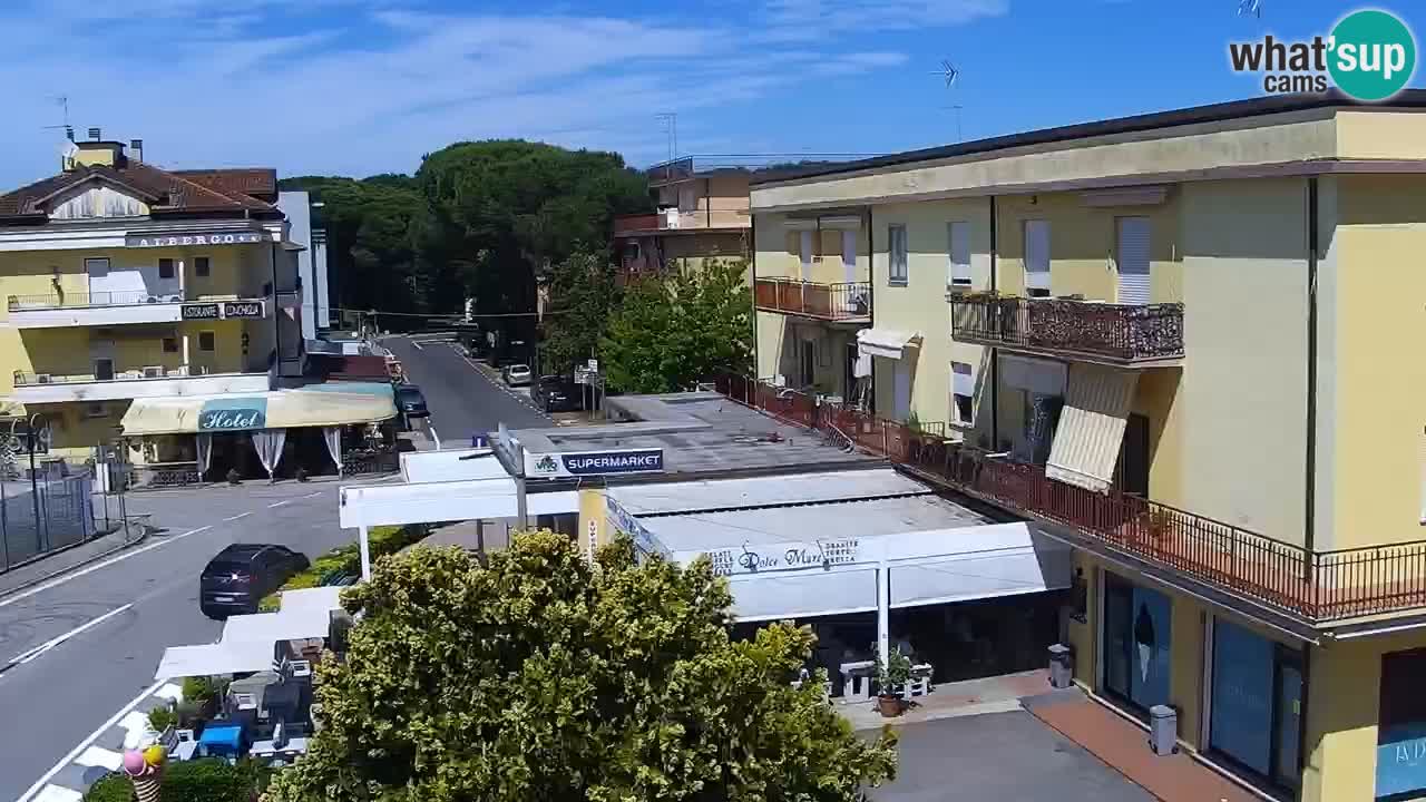 Livecam Rosolina mare
