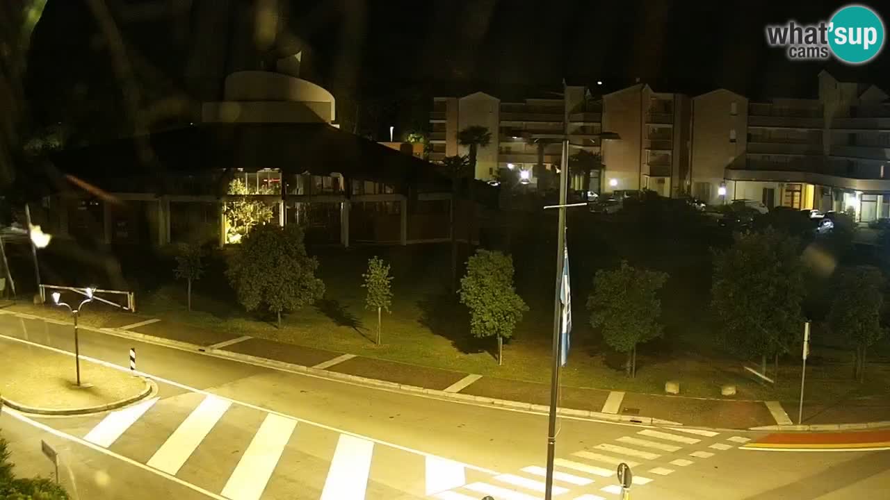Camera en vivo Rosolina mare