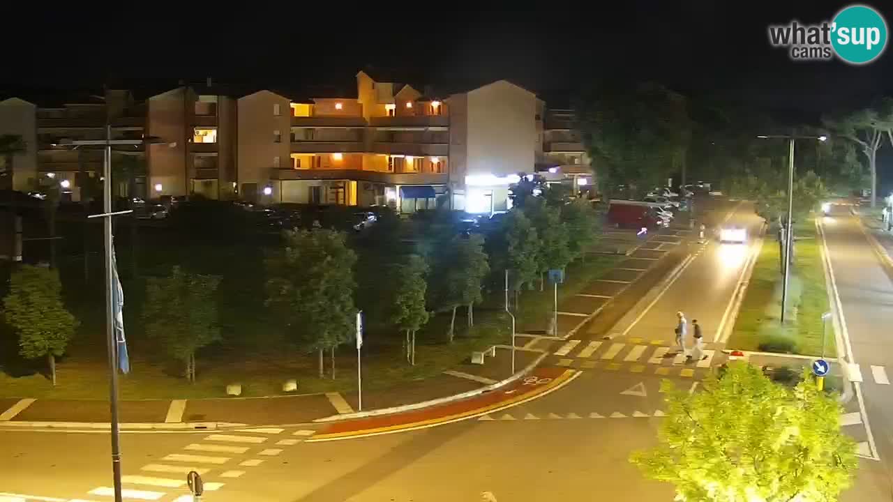 Livecam Rosolina mare