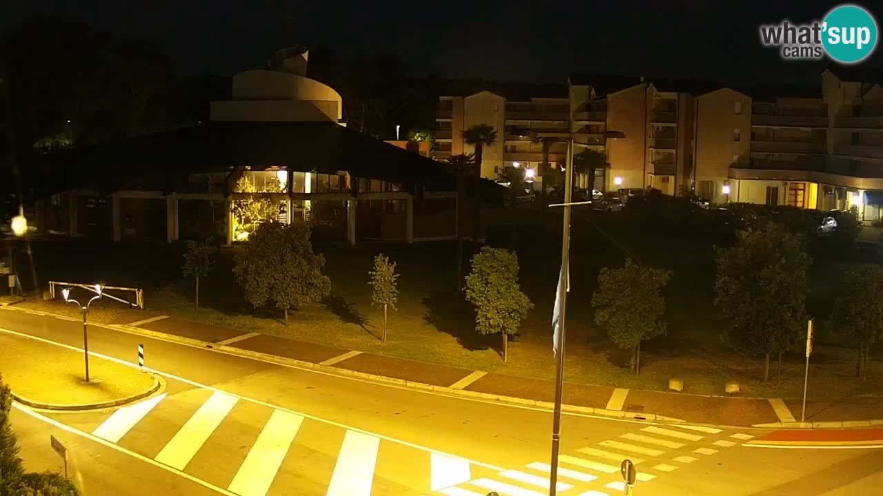 Camera en vivo Rosolina mare