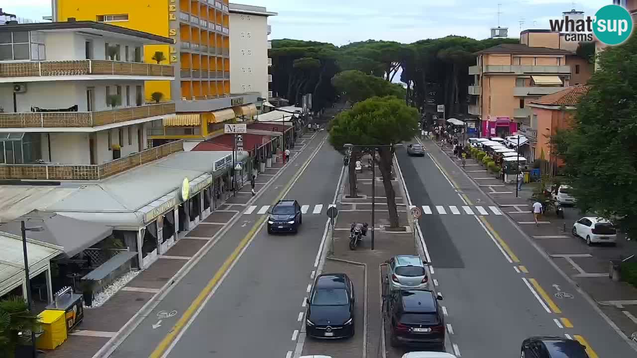 Livecam Rosolina mare