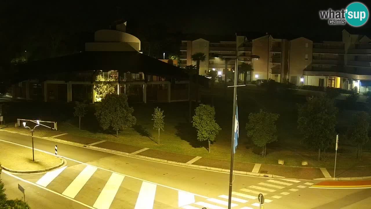 Livecam Rosolina mare