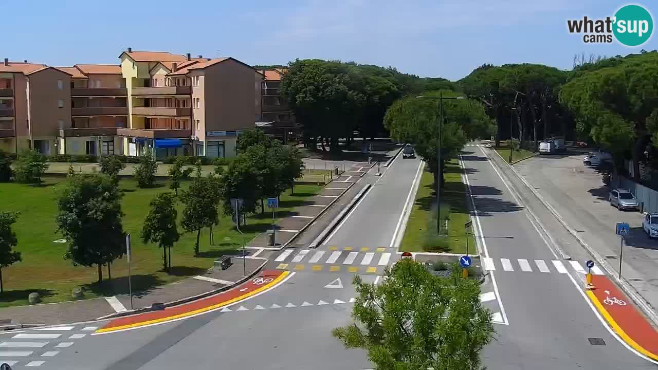Livecam Rosolina mare