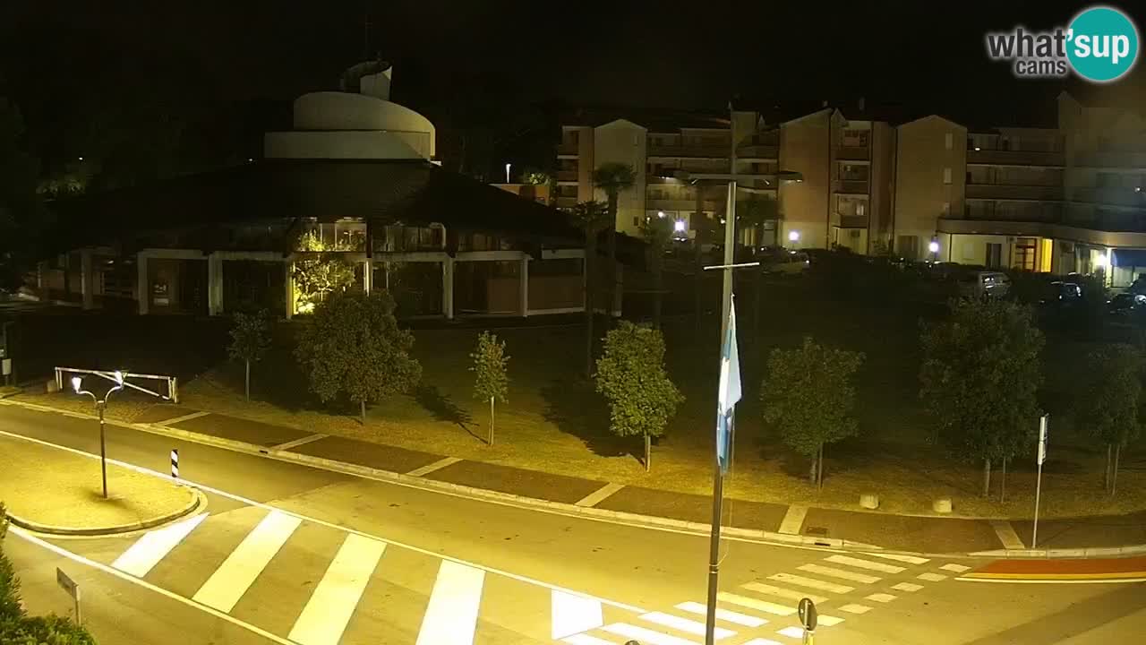 Camera en vivo Rosolina mare