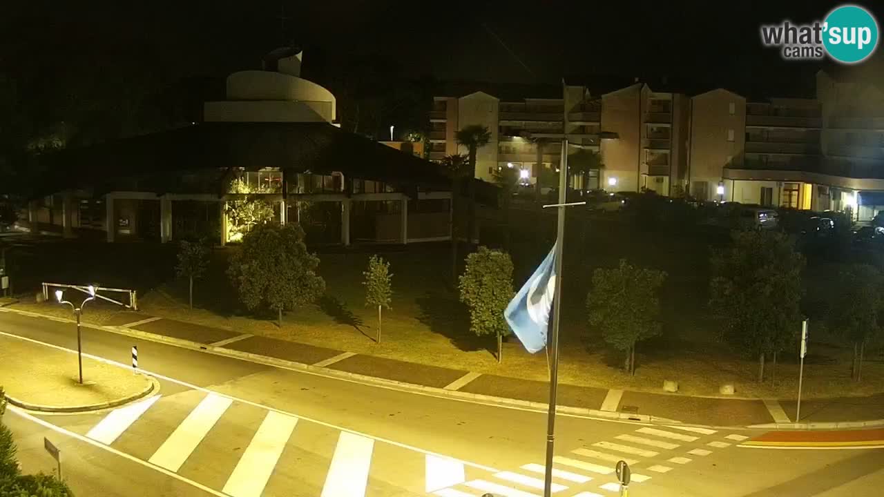 Livecam Rosolina mare