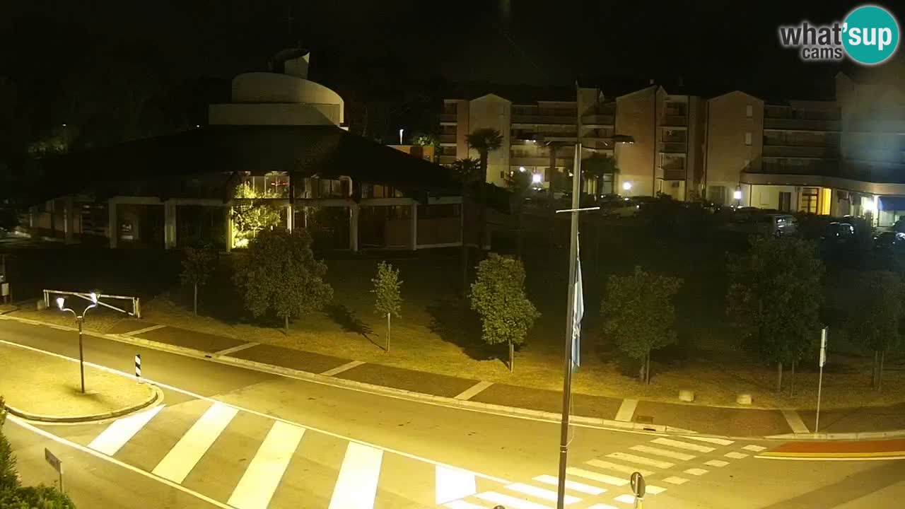 Camera en vivo Rosolina mare