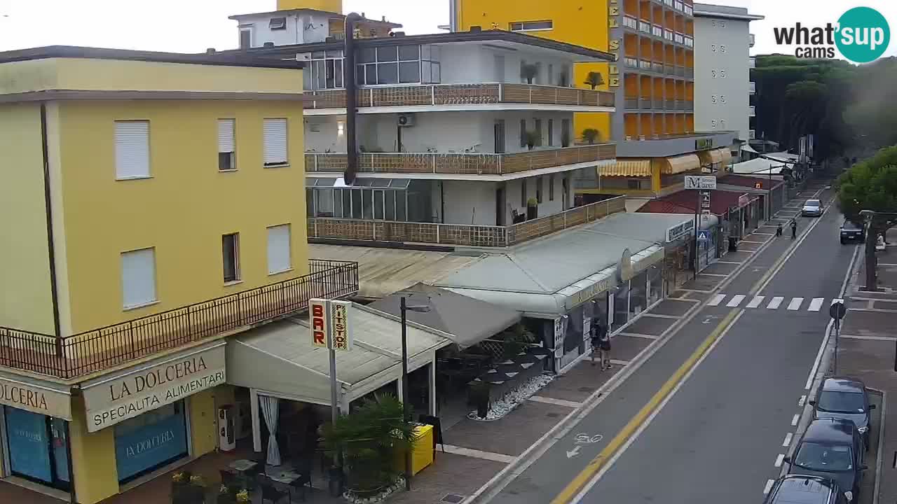 Livecam Rosolina mare
