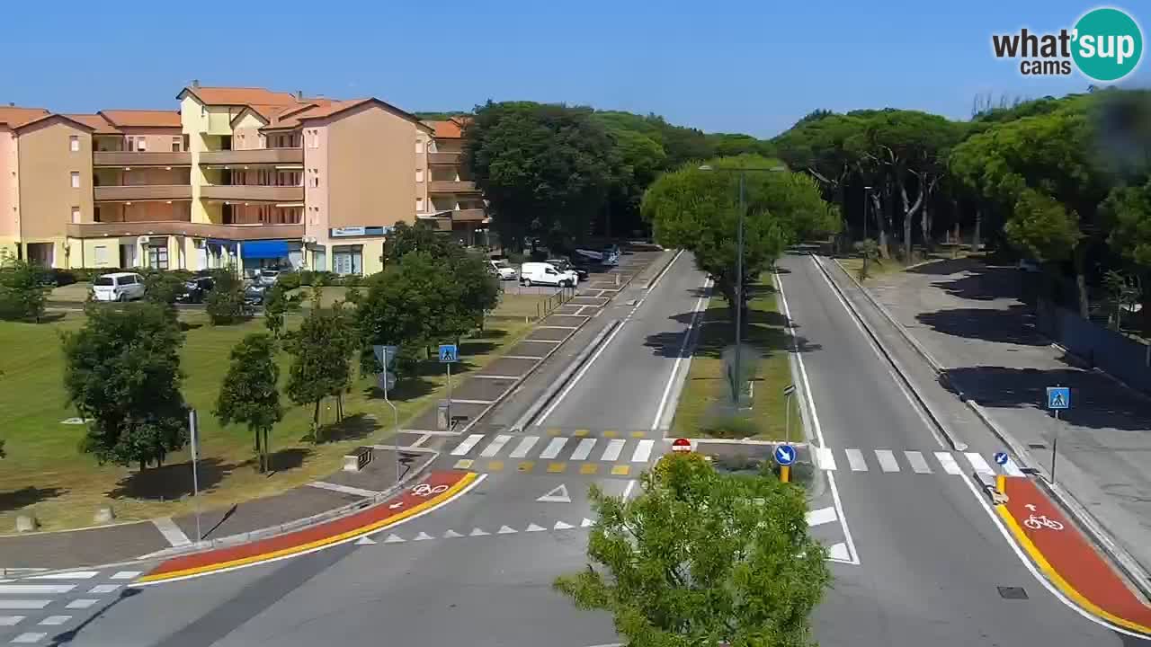 Livecam Rosolina mare