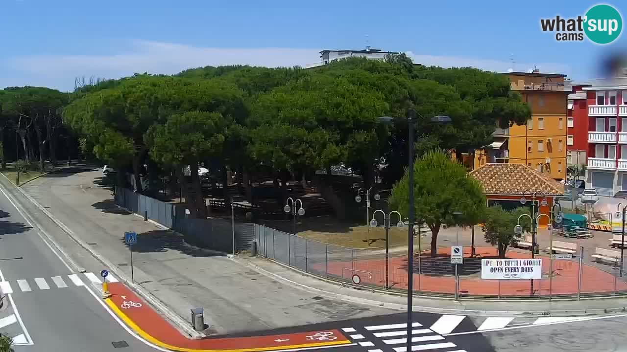 Livecam Rosolina mare