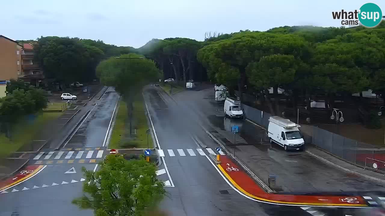 Livecam Rosolina mare