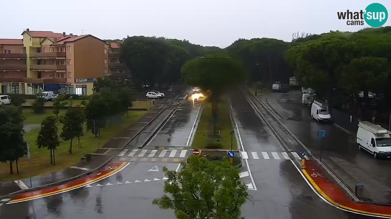 Livecam Rosolina mare