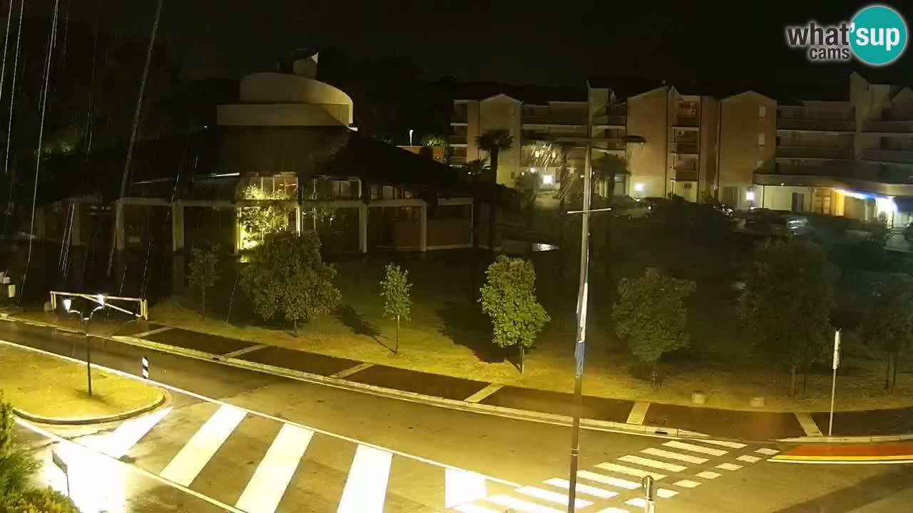 Spletna kamera Rosolina mare