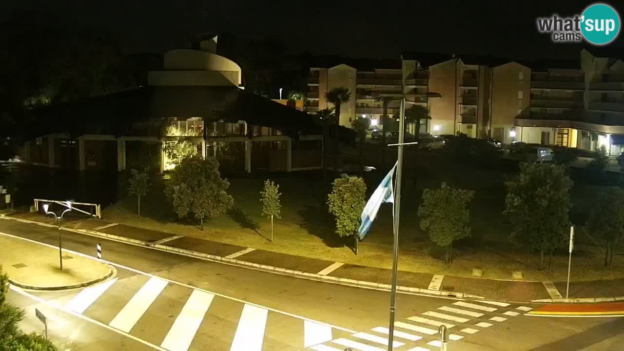 Camera en vivo Rosolina mare