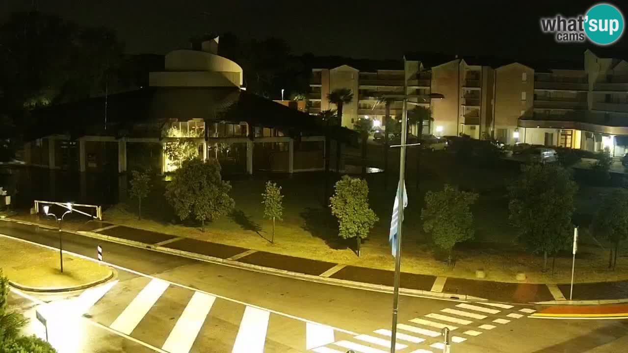 Livecam Rosolina mare