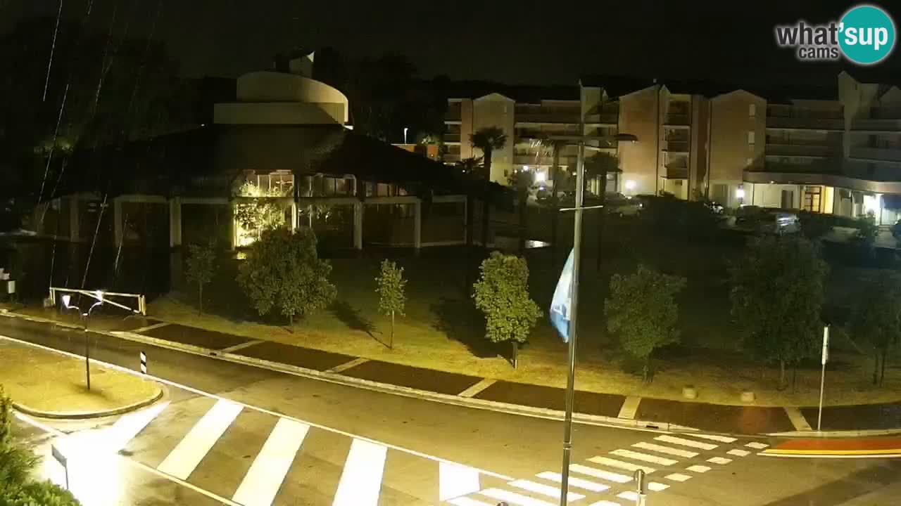 Camera en vivo Rosolina mare