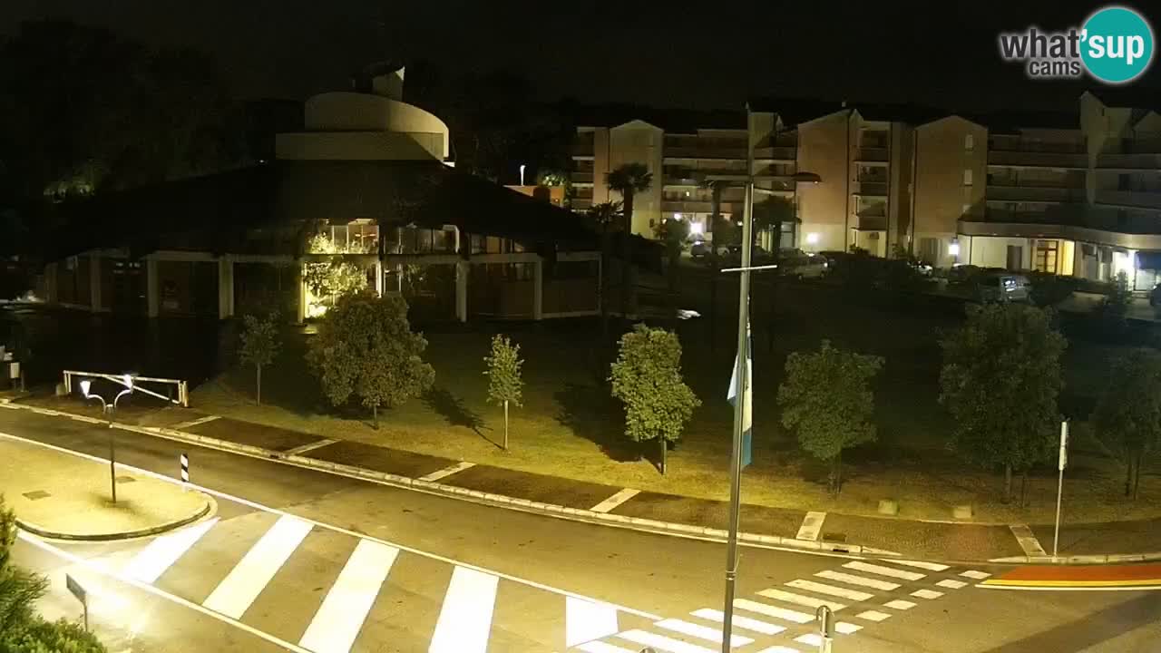 Livecam Rosolina mare