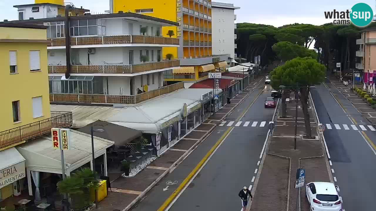 Livecam Rosolina mare webcam – Centro citta