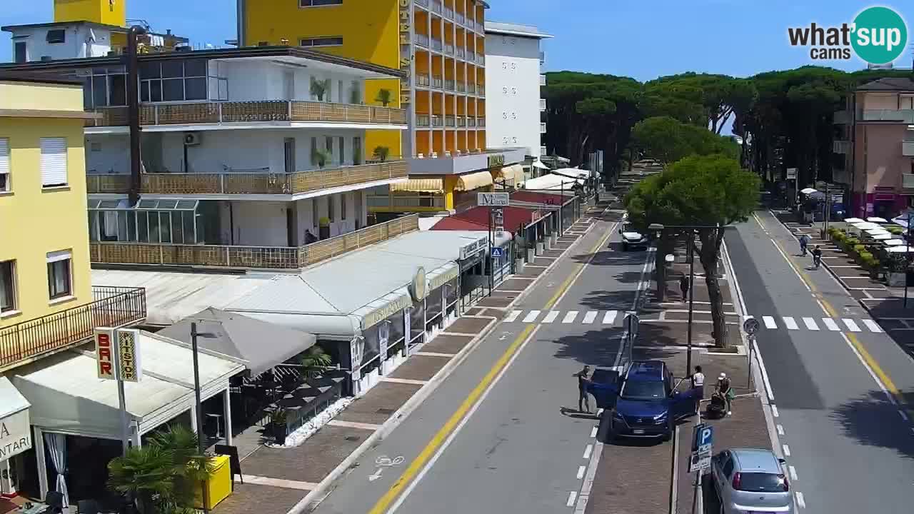 Livecam Rosolina mare