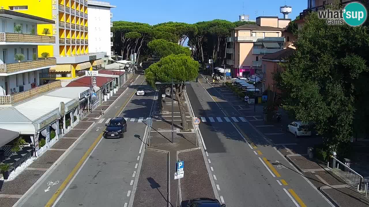Livecam Rosolina mare