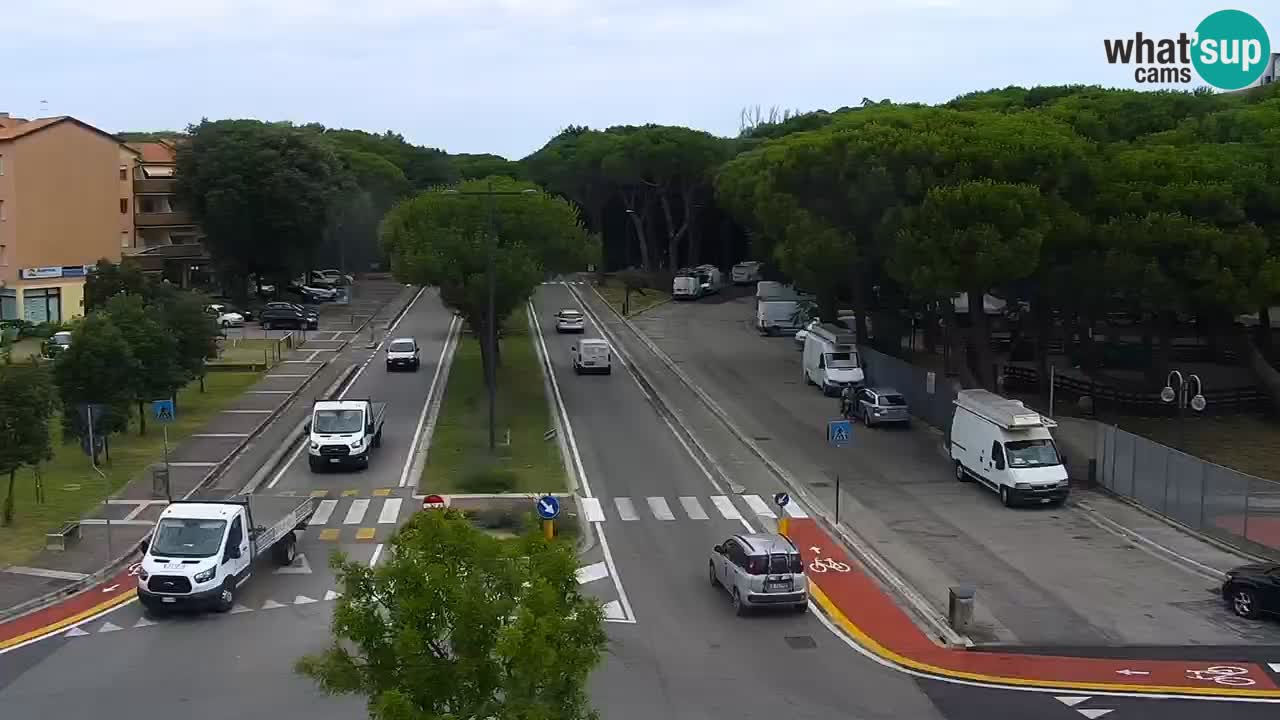 Livecam Rosolina mare