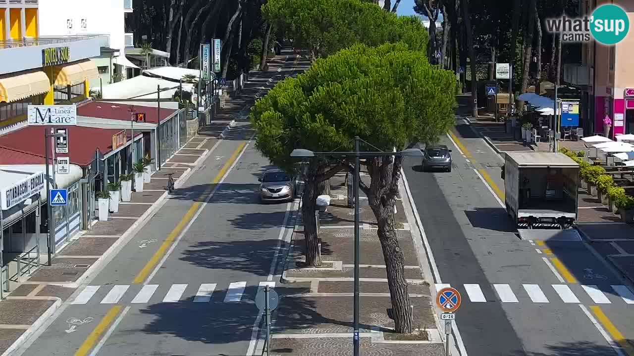 Camera en vivo Rosolina mare