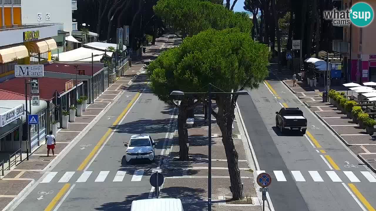 Livecam Rosolina mare